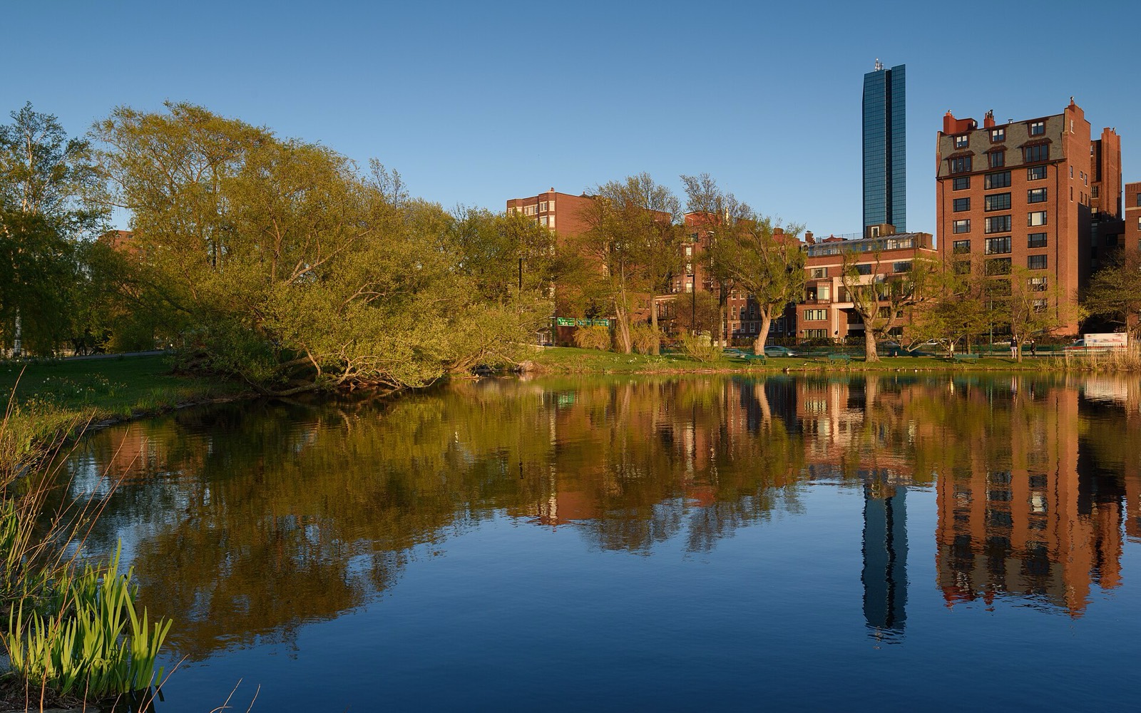 Golden evening light on the Charles River Esplanade lagoon in Boston